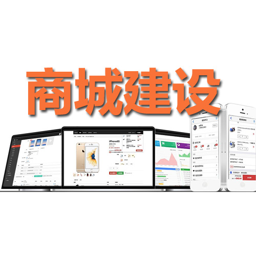 2021年獨(dú)立網(wǎng)店系統(tǒng)哪個(gè)好